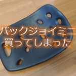 バックジョイミニを追加購入!やっぱりこれがジャストフィットする